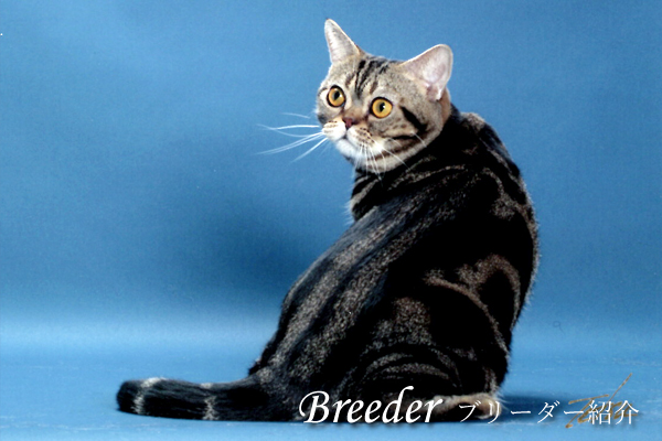 breeder